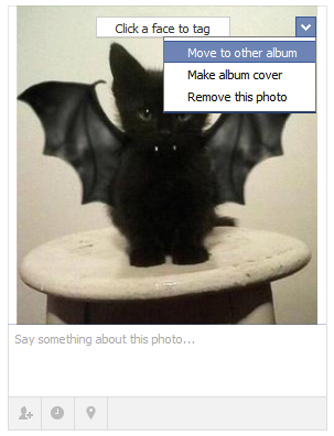 moving facebook photos 1